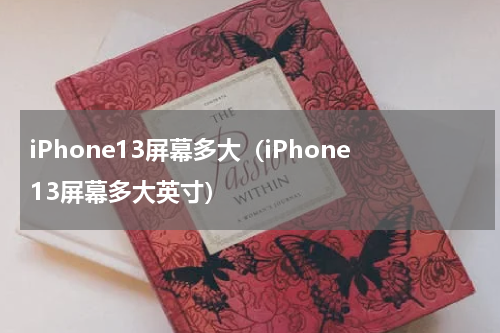 iPhone13屏幕多大（iPhone13屏幕多大英寸）