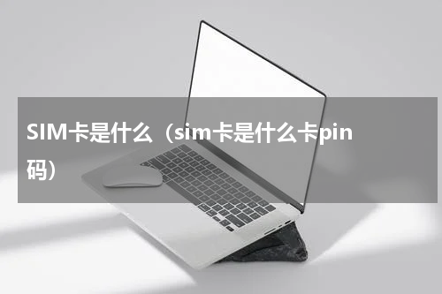SIM卡是什么（sim卡是什么卡pin码）
