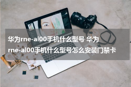 华为rne-al00手机什么型号 华为rne-al00手机什么型号怎么安装门禁卡