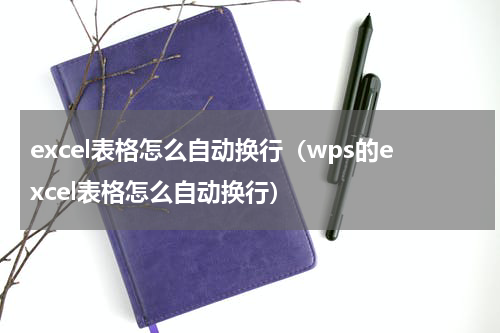 excel表格怎么自动换行（wps的excel表格怎么自动换行）