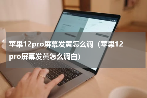 苹果12pro屏幕发黄怎么调（苹果12pro屏幕发黄怎么调白）