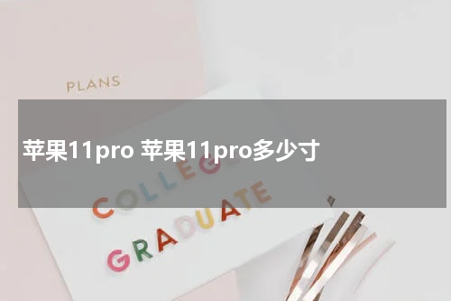 苹果11pro 苹果11pro多少寸