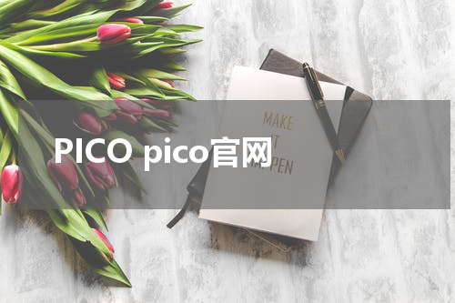 PICO pico官网