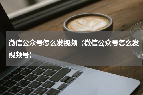 微信公众号怎么发视频（微信公众号怎么发视频号）