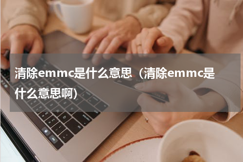清除emmc是什么意思（清除emmc是什么意思啊）