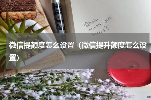 微信提额度怎么设置（微信提升额度怎么设置）