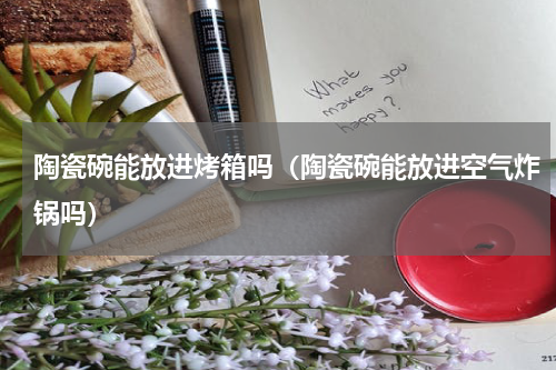 陶瓷碗能放进烤箱吗（陶瓷碗能放进空气炸锅吗）