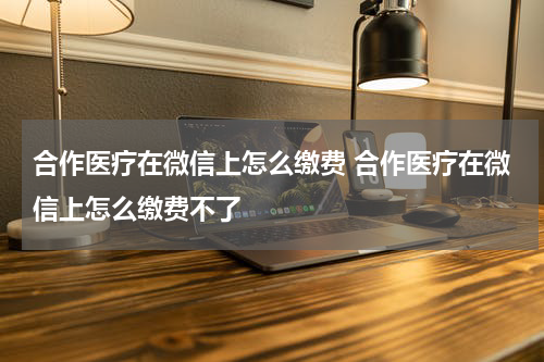 合作医疗在微信上怎么缴费 合作医疗在微信上怎么缴费不了