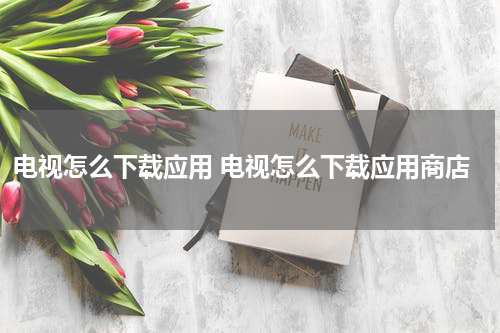 电视怎么下载应用 电视怎么下载应用商店