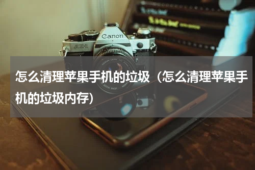 怎么清理苹果手机的垃圾（怎么清理苹果手机的垃圾内存）