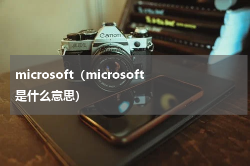 microsoft（microsoft是什么意思）