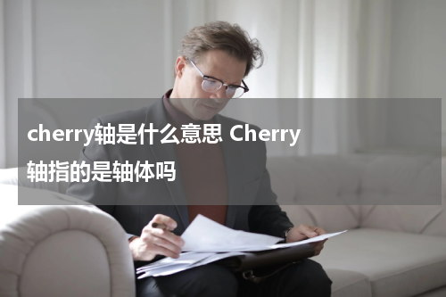 cherry轴是什么意思 Cherry轴指的是轴体吗