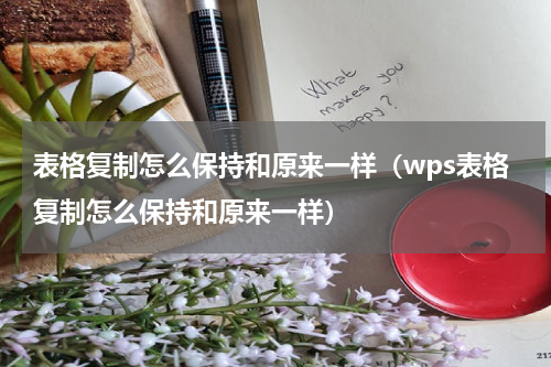 表格复制怎么保持和原来一样（wps表格复制怎么保持和原来一样）