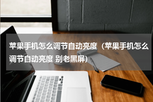 苹果手机怎么调节自动亮度（苹果手机怎么调节自动亮度 别老黑屏）