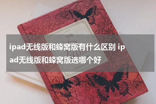 ipad无线版和蜂窝版有什么区别 ipad无线版和蜂窝版选哪个好