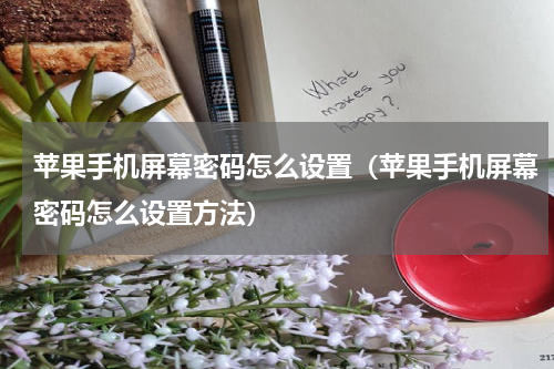苹果手机屏幕密码怎么设置（苹果手机屏幕密码怎么设置方法）
