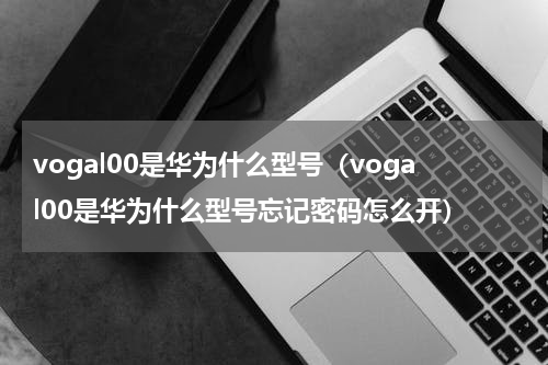 vogal00是华为什么型号（vogal00是华为什么型号忘记密码怎么开）