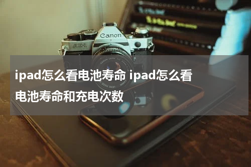 ipad怎么看电池寿命 ipad怎么看电池寿命和充电次数