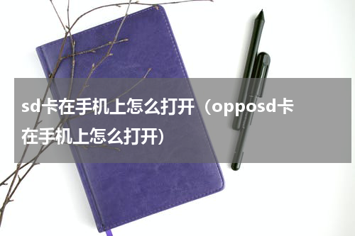 sd卡在手机上怎么打开（opposd卡在手机上怎么打开）