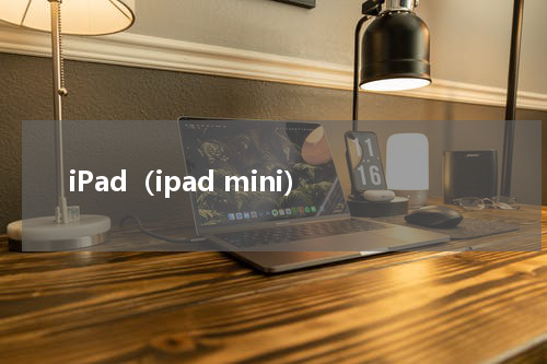 iPad（ipad mini）