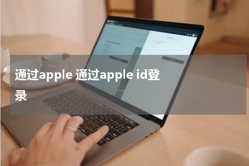 通过apple 通过apple id登录