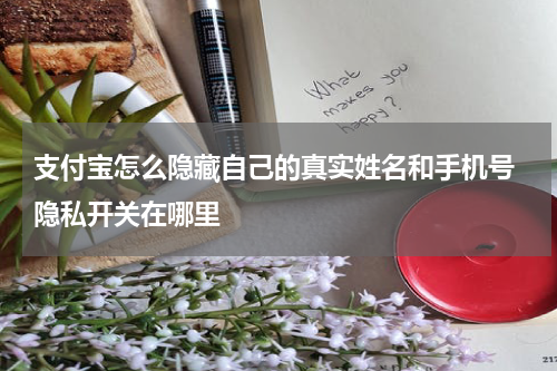 支付宝怎么隐藏自己的真实姓名和手机号 隐私开关在哪里