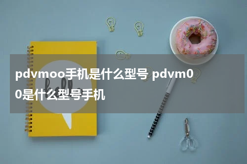 pdvmoo手机是什么型号 pdvm00是什么型号手机