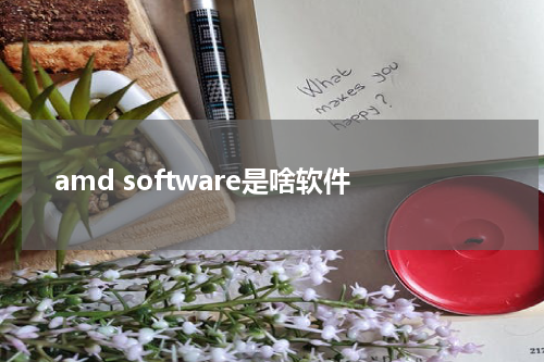 amd software是啥软件