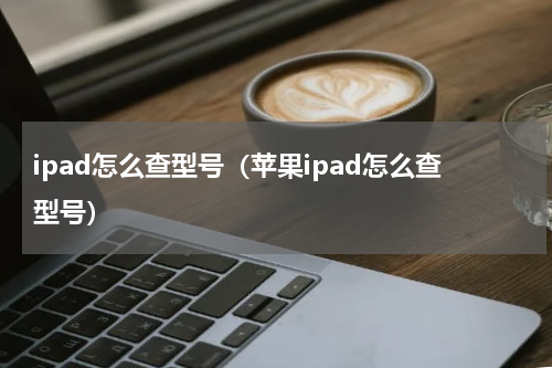 ipad怎么查型号（苹果ipad怎么查型号）