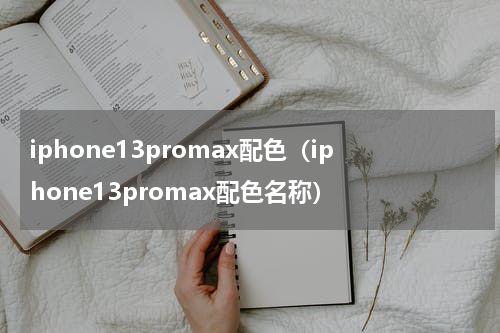 iphone13promax配色（iphone13promax配色名称）