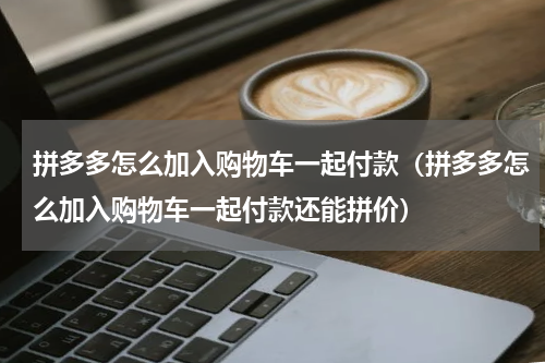 拼多多怎么加入购物车一起付款（拼多多怎么加入购物车一起付款还能拼价）