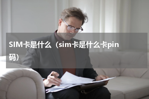 SIM卡是什么（sim卡是什么卡pin码）