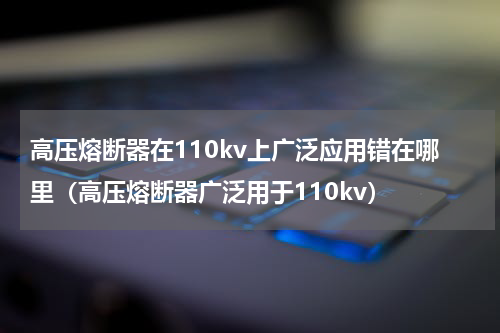 高压熔断器在110kv上广泛应用错在哪里（高压熔断器广泛用于110kv）