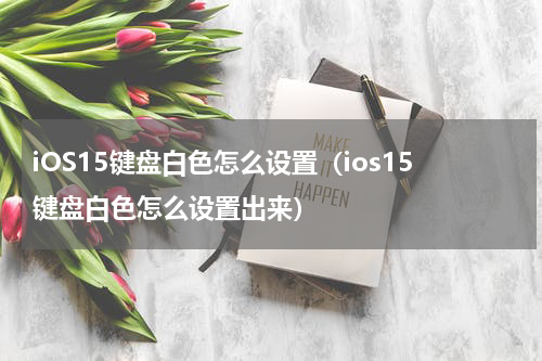 iOS15键盘白色怎么设置（ios15键盘白色怎么设置出来）