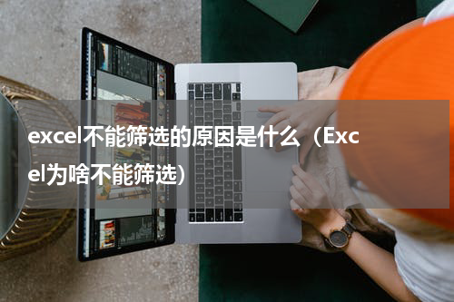 excel不能筛选的原因是什么（Excel为啥不能筛选）