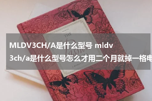 MLDV3CH/A是什么型号 mldv3ch/a是什么型号怎么才用二个月就掉一格电