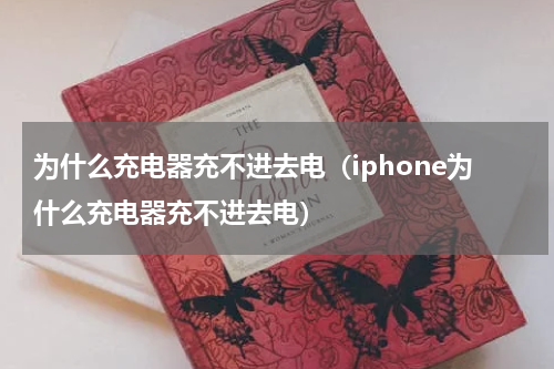 为什么充电器充不进去电（iphone为什么充电器充不进去电）