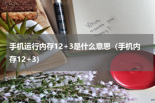 手机运行内存12+3是什么意思（手机内存12+3）