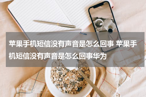 苹果手机短信没有声音是怎么回事 苹果手机短信没有声音是怎么回事华为