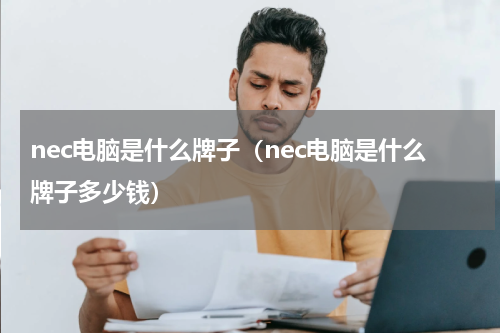 nec电脑是什么牌子（nec电脑是什么牌子多少钱）