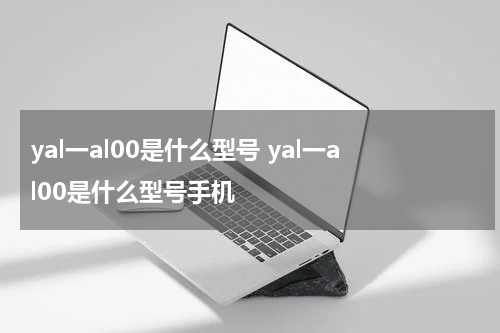yal一al00是什么型号 yal一al00是什么型号手机