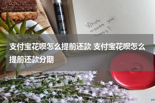 支付宝花呗怎么提前还款 支付宝花呗怎么提前还款分期