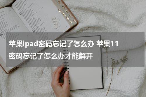 苹果ipad密码忘记了怎么办 苹果11密码忘记了怎么办才能解开
