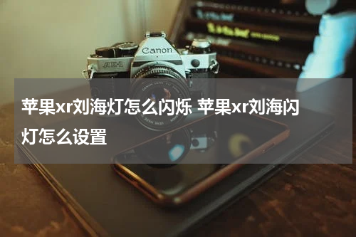 苹果xr刘海灯怎么闪烁 苹果xr刘海闪灯怎么设置