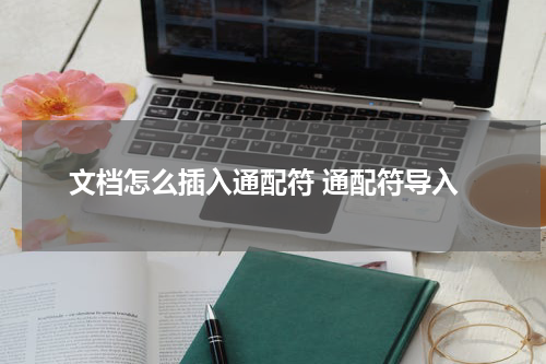文档怎么插入通配符 通配符导入