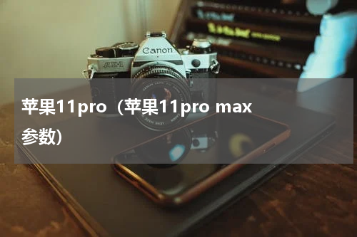 苹果11pro（苹果11pro max参数）