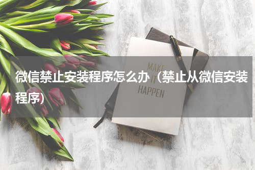 微信禁止安装程序怎么办（禁止从微信安装程序）