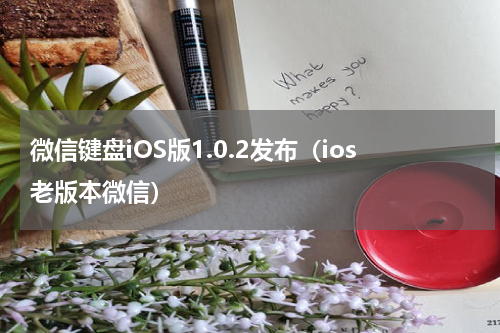 微信键盘iOS版1.0.2发布（ios老版本微信）