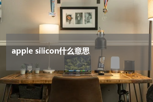 apple silicon什么意思
