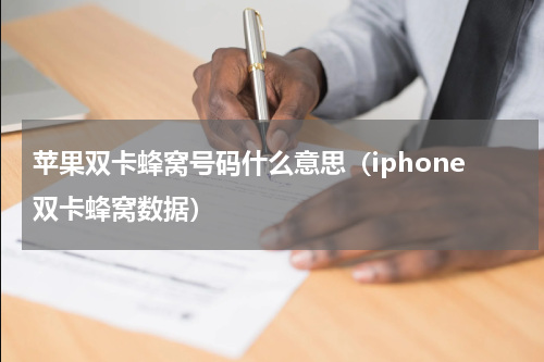 苹果双卡蜂窝号码什么意思（iphone双卡蜂窝数据）